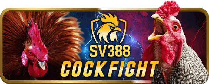 Quản lý vốn cược